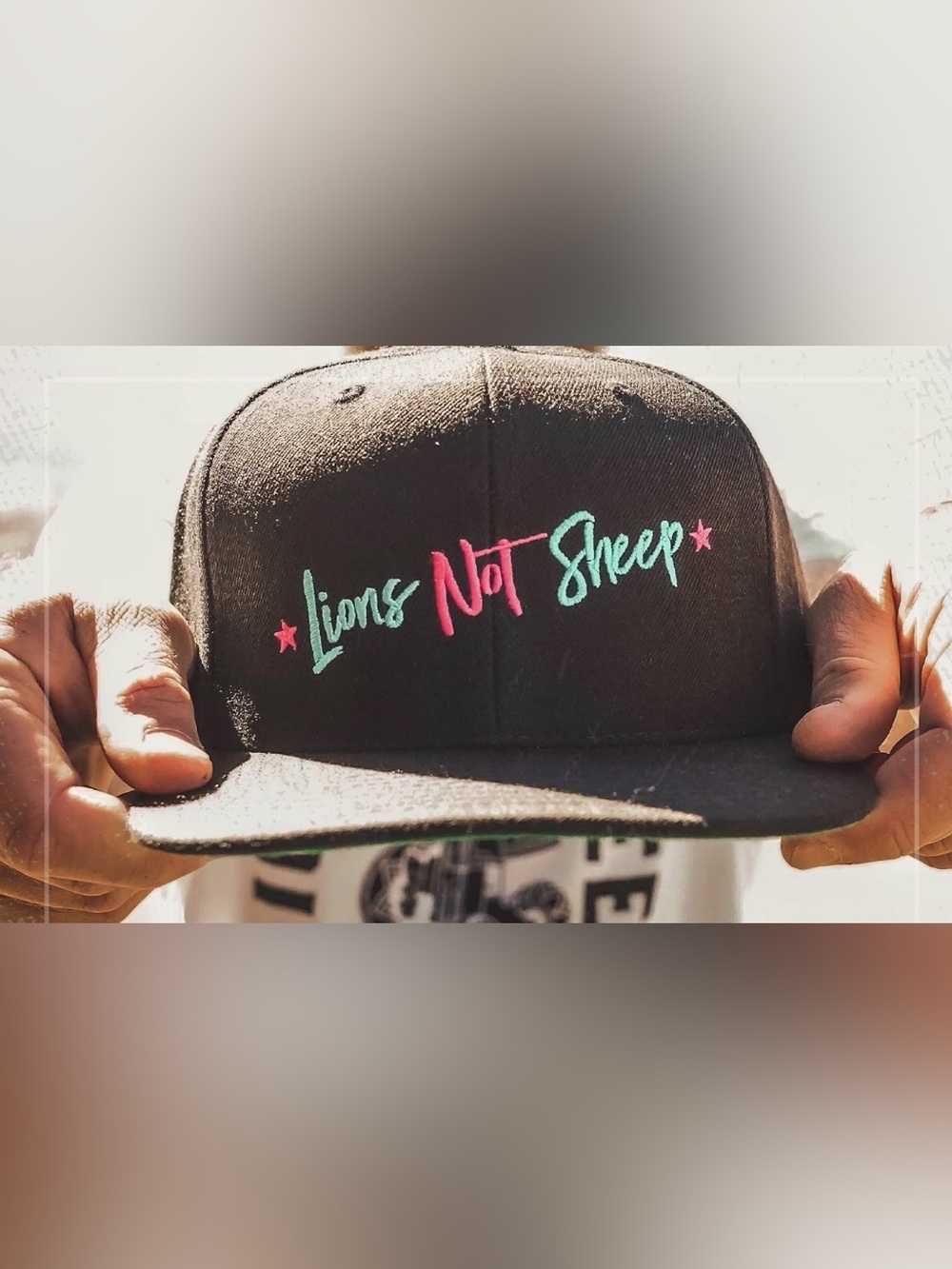 Lions Not Sheep Black Snapback Hat